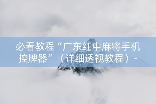 必看教程“广东红中麻将手机控牌器”（详细透视教程）-哔哩哔哩