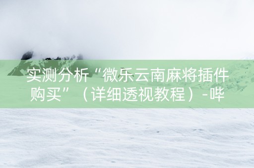 实测分析“微乐云南麻将插件购买”（详细透视教程）-哔哩哔哩