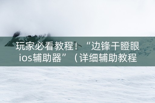 玩家必看教程！“边锋干瞪眼ios辅助器”（详细辅助教程）-哔哩哔哩