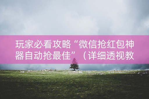 玩家必看攻略“微信抢红包神器自动抢最佳”（详细透视教程）-哔哩哔哩