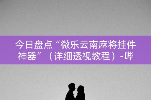 今日盘点“微乐云南麻将挂件神器”（详细透视教程）-哔哩哔哩