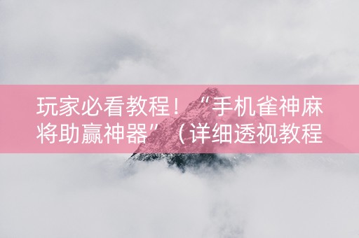 玩家必看教程！“手机雀神麻将助赢神器”（详细透视教程）-哔哩哔哩