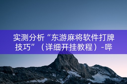 实测分析“东游麻将软件打牌技巧”（详细开挂教程）-哔哩哔哩