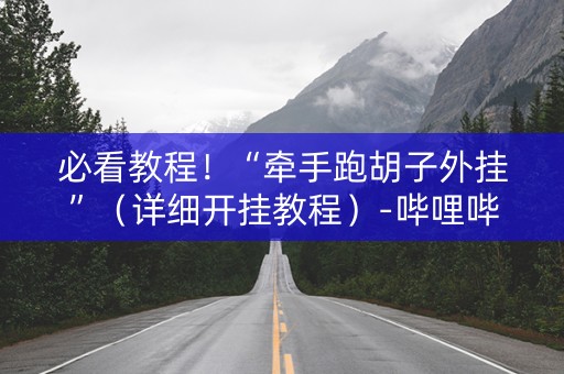 必看教程！“牵手跑胡子外挂”（详细开挂教程）-哔哩哔哩