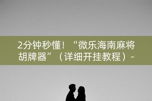 2分钟秒懂！“微乐海南麻将胡牌器”（详细开挂教程）-哔哩哔哩
