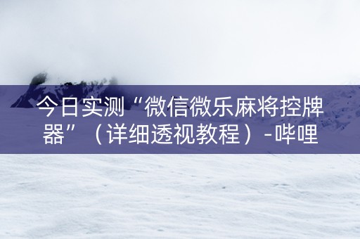 今日实测“微信微乐麻将控牌器”（详细透视教程）-哔哩哔哩