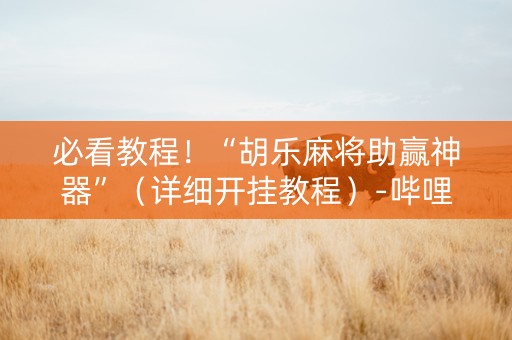 必看教程！“胡乐麻将助赢神器”（详细开挂教程）-哔哩哔哩