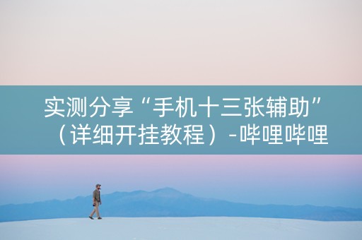 实测分享“手机十三张辅助”（详细开挂教程）-哔哩哔哩