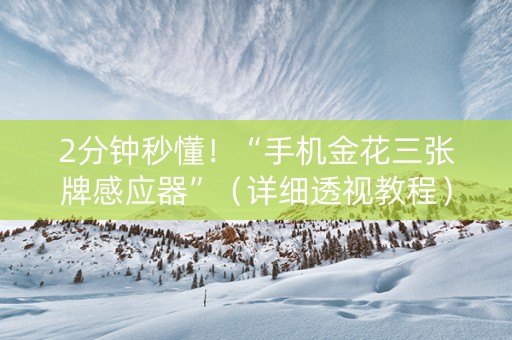 2分钟秒懂！“手机金花三张牌感应器”（详细透视教程）-哔哩哔哩