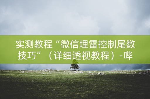 实测教程“微信埋雷控制尾数技巧”（详细透视教程）-哔哩哔哩