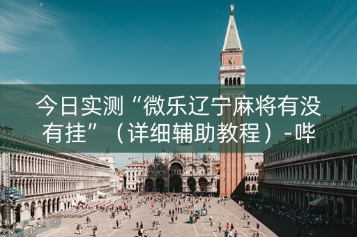 今日实测“微乐辽宁麻将有没有挂”（详细辅助教程）-哔哩哔哩