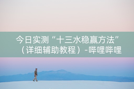今日实测“十三水稳赢方法”（详细辅助教程）-哔哩哔哩