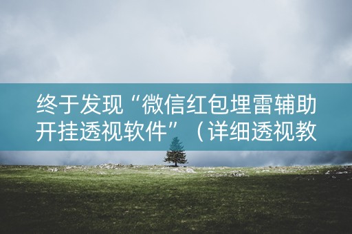 终于发现“微信红包埋雷辅助开挂透视软件”（详细透视教程）-哔哩哔哩
