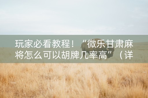 玩家必看教程！“微乐甘肃麻将怎么可以胡牌几率高”（详细透视教程）-哔哩哔哩