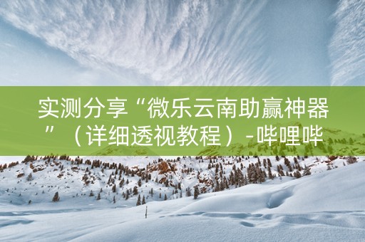 实测分享“微乐云南助赢神器”（详细透视教程）-哔哩哔哩