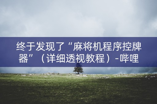 终于发现了“麻将机程序控牌器”（详细透视教程）-哔哩哔哩