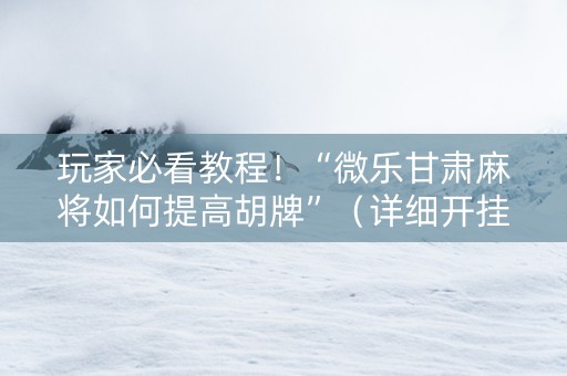 玩家必看教程！“微乐甘肃麻将如何提高胡牌”（详细开挂教程）-哔哩哔哩