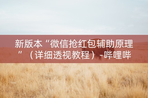 新版本“微信抢红包辅助原理”（详细透视教程）-哔哩哔哩