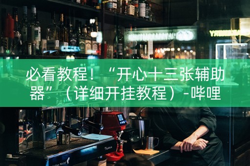 必看教程！“开心十三张辅助器”（详细开挂教程）-哔哩哔哩