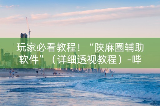 玩家必看教程！“陕麻圈辅助软件”（详细透视教程）-哔哩哔哩