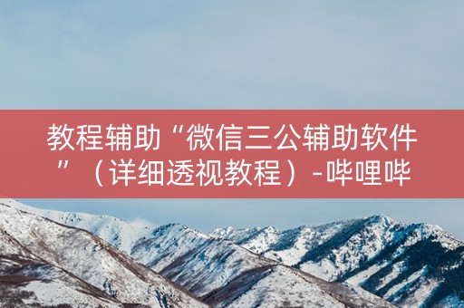 教程辅助“微信三公辅助软件”（详细透视教程）-哔哩哔哩
