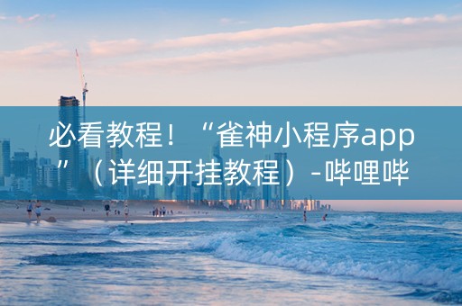 必看教程！“雀神小程序app”（详细开挂教程）-哔哩哔哩