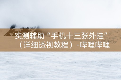 实测辅助“手机十三张外挂”（详细透视教程）-哔哩哔哩
