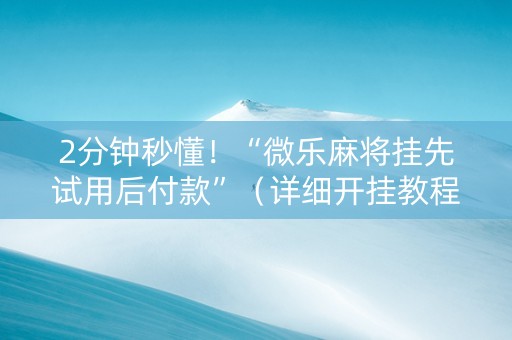 2分钟秒懂！“微乐麻将挂先试用后付款”（详细开挂教程）-哔哩哔哩