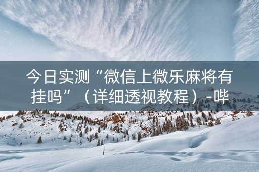 今日实测“微信上微乐麻将有挂吗”（详细透视教程）-哔哩哔哩