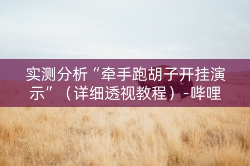 实测分析“牵手跑胡子开挂演示”（详细透视教程）-哔哩哔哩