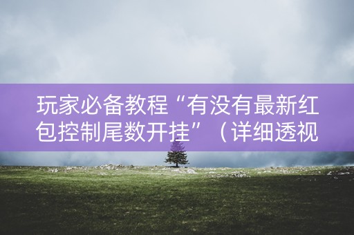 玩家必备教程“有没有最新红包控制尾数开挂”（详细透视教程）-哔哩哔哩