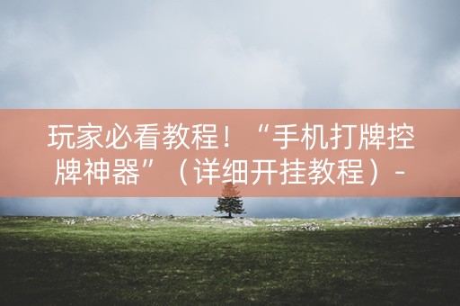 玩家必看教程！“手机打牌控牌神器”（详细开挂教程）-哔哩哔哩