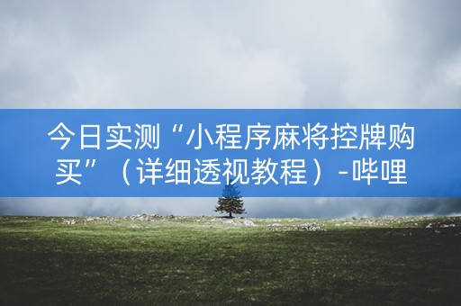 今日实测“小程序麻将控牌购买”（详细透视教程）-哔哩哔哩