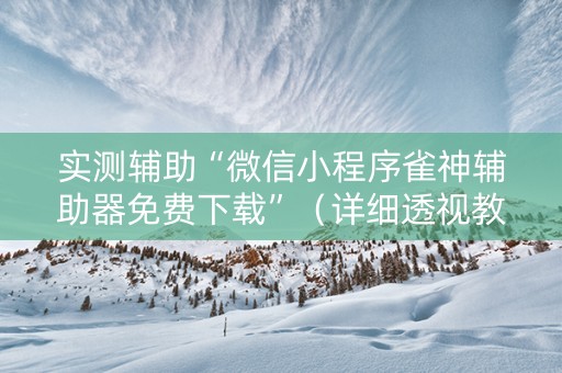 实测辅助“微信小程序雀神辅助器免费下载”（详细透视教程）-哔哩哔哩