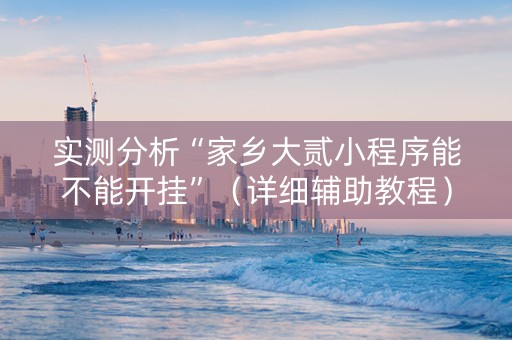 实测分析“家乡大贰小程序能不能开挂”（详细辅助教程）-哔哩哔哩