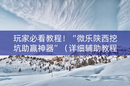 玩家必看教程！“微乐陕西挖坑助赢神器”（详细辅助教程）-哔哩哔哩