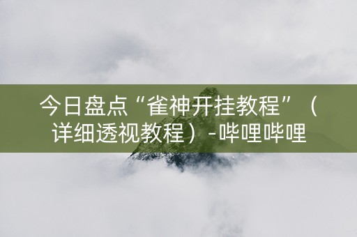 今日盘点“雀神开挂教程”（详细透视教程）-哔哩哔哩