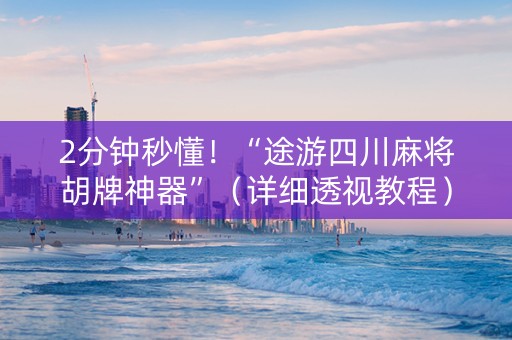 2分钟秒懂！“途游四川麻将胡牌神器”（详细透视教程）-哔哩哔哩