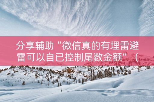 分享辅助“微信真的有埋雷避雷可以自已控制尾数金额”（详细透视教程）-哔哩哔哩
