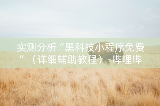 实测分析“黑科技小程序免费”（详细辅助教程）-哔哩哔哩