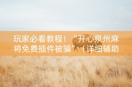 玩家必看教程！“开心泉州麻将免费插件被骗”（详细辅助教程）-哔哩哔哩