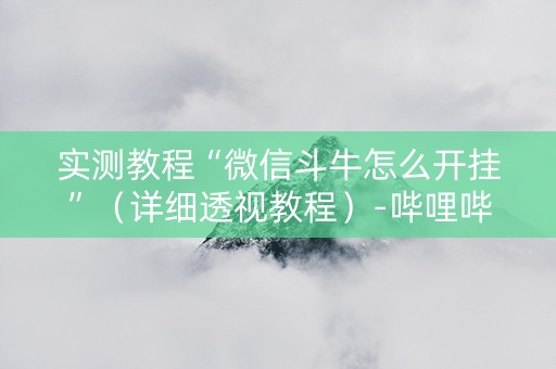 实测教程“微信斗牛怎么开挂”（详细透视教程）-哔哩哔哩