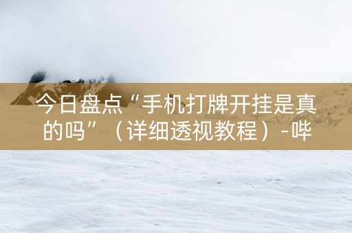 今日盘点“手机打牌开挂是真的吗”（详细透视教程）-哔哩哔哩