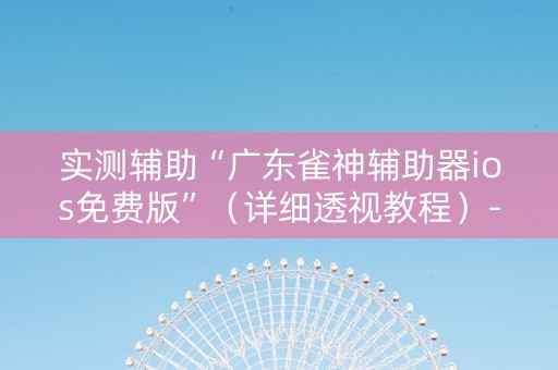 实测辅助“广东雀神辅助器ios免费版”（详细透视教程）-哔哩哔哩
