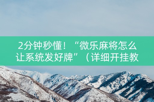 2分钟秒懂！“微乐麻将怎么让系统发好牌”（详细开挂教程）-哔哩哔哩