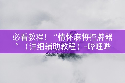 必看教程！“情怀麻将控牌器”（详细辅助教程）-哔哩哔哩