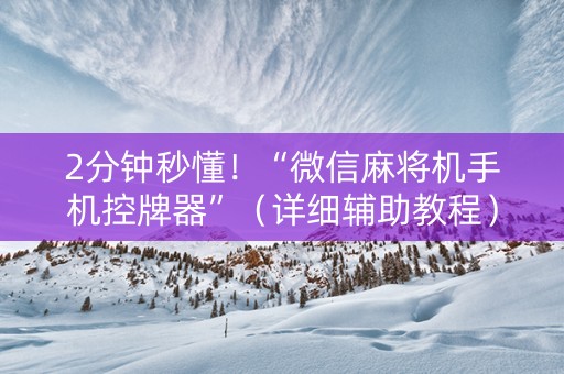 2分钟秒懂！“微信麻将机手机控牌器”（详细辅助教程）-哔哩哔哩