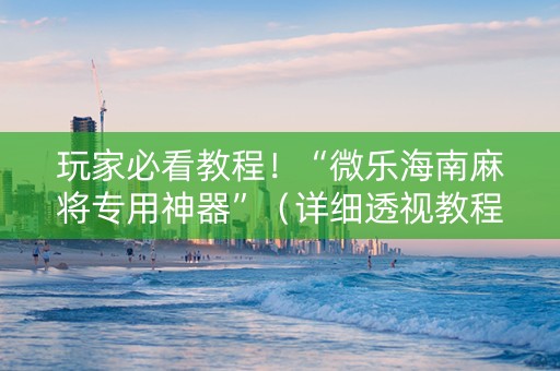 玩家必看教程！“微乐海南麻将专用神器”（详细透视教程）-哔哩哔哩