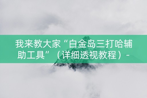 我来教大家“白金岛三打哈辅助工具”（详细透视教程）-哔哩哔哩