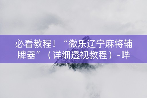 必看教程！“微乐辽宁麻将辅牌器”（详细透视教程）-哔哩哔哩